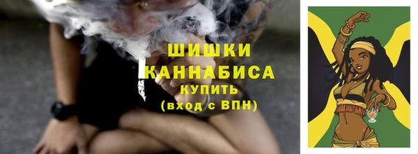 прущий лед Козловка