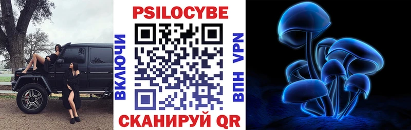 Купить закладки  Кущёвская  Галлюциногенные грибы Psilocybe 